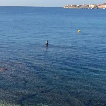 Willa D'exception, Piscine, Vue Mer, A 100m Ajaccio (Corsica)