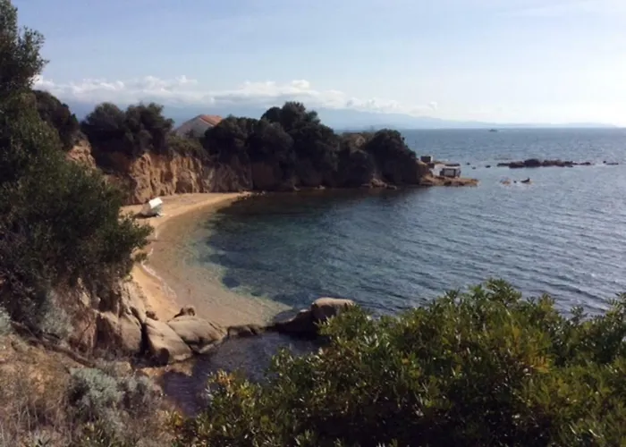 D'exception, Piscine, Vue Mer, A 100m * Ajaccio (Corsica)